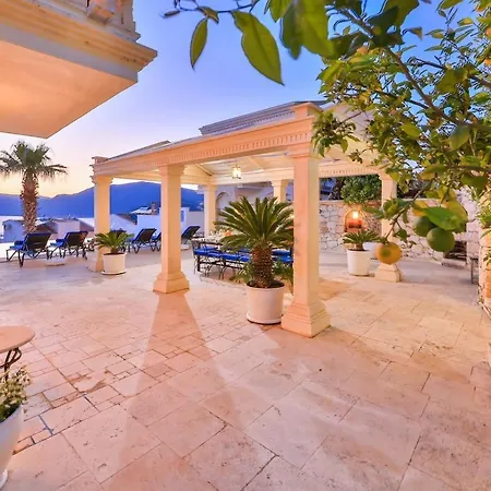 Palmiye, Kalkan Κας