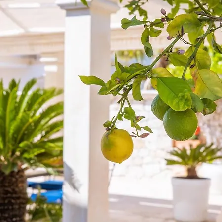 Villa Palmiye, Kalkan *